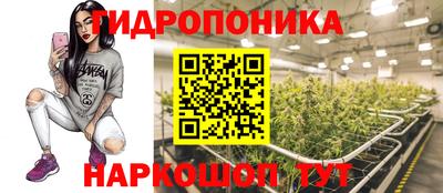 мдма Гусев