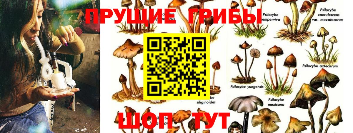 Галлюциногенные грибы GOLDEN TEACHER Люберцы