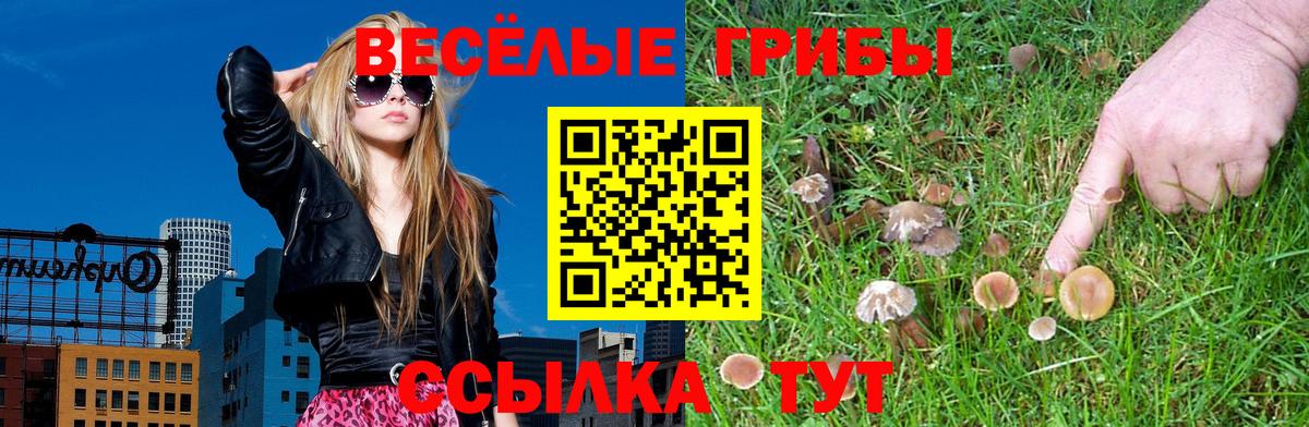 Галлюциногенные грибы GOLDEN TEACHER  Псилоцибиновые грибы прущие грибы  Люберцы  Вход с VPN 